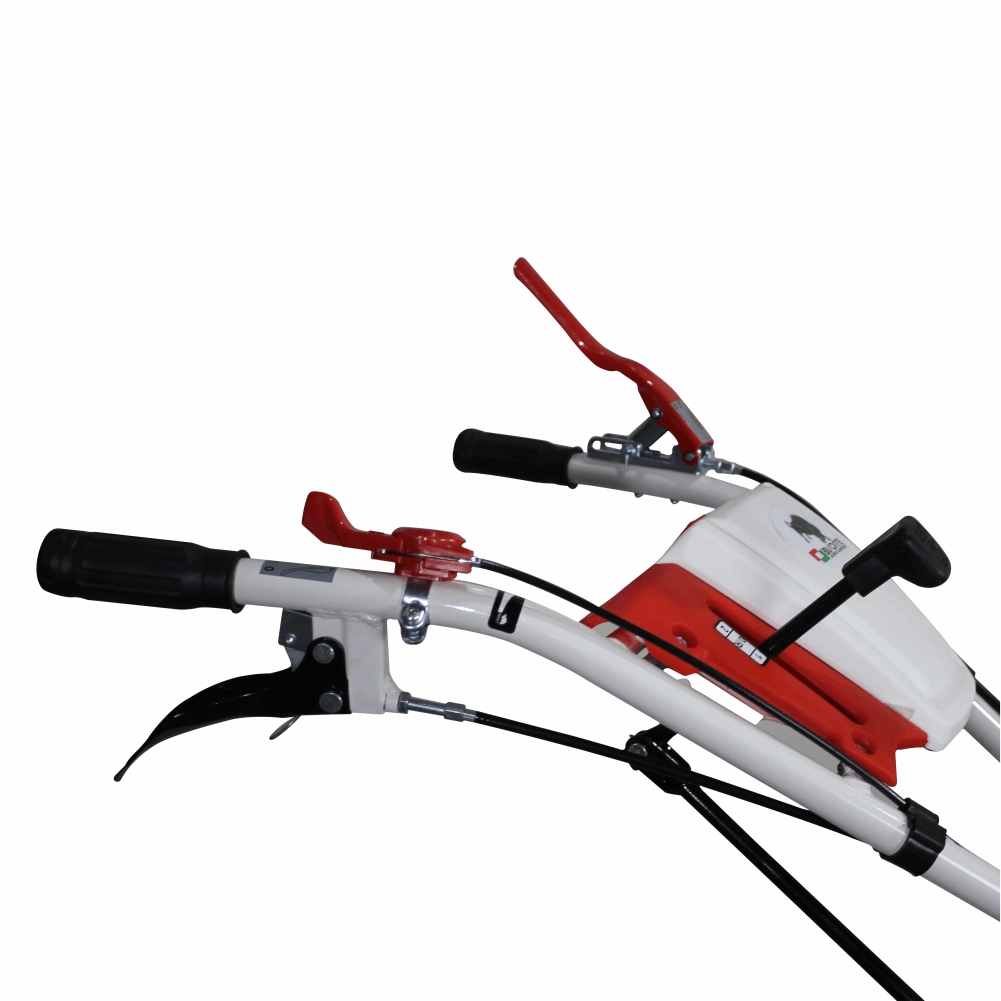 Motocultor BISONTE Agro Garden BTA-16SG latime de lucru 13500 mm, adancime 300 mm, motor 16 cp - imagine 2