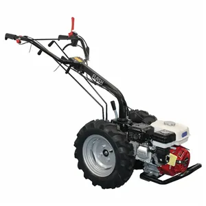 Multifunctional BISONTE Agro Garden BTA-F1107X270 motor HONDA GX270 9 cp