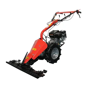 RS Multifunctional BISONTE Agro Garden BTA-MF360 motor Loncin G200F 6,5 cp