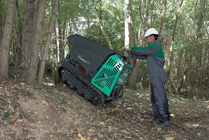 Mini-Dumper IMER Taurus 700CP B8 motor Honda GX270 cu bena de incarcare - imagine 2