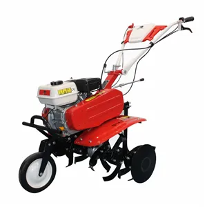 Motocultor BISONTE Agro Garden BTA-900FC latime lucru 560–830mm adancime 300mm motor 7cp (FC-FR)