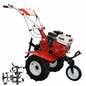 Motocultor BISONTE Agro Garden BTA-900FC latime lucru 560–830mm adancime 300mm motor 7cp (FC)